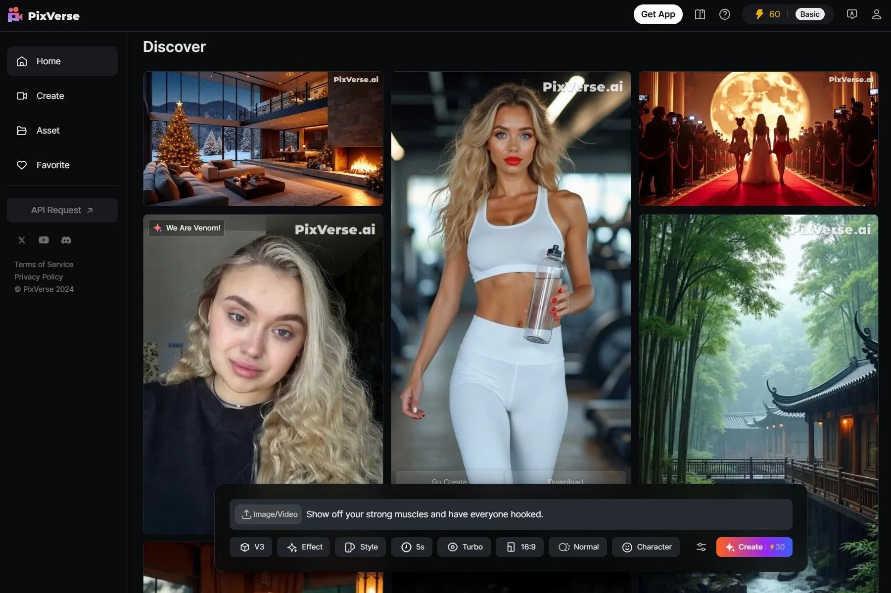 Discover Various Videos