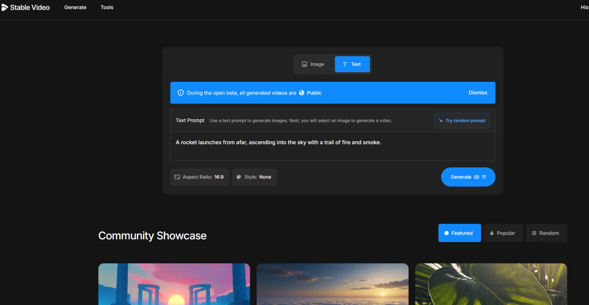 Dynamic Video Generation